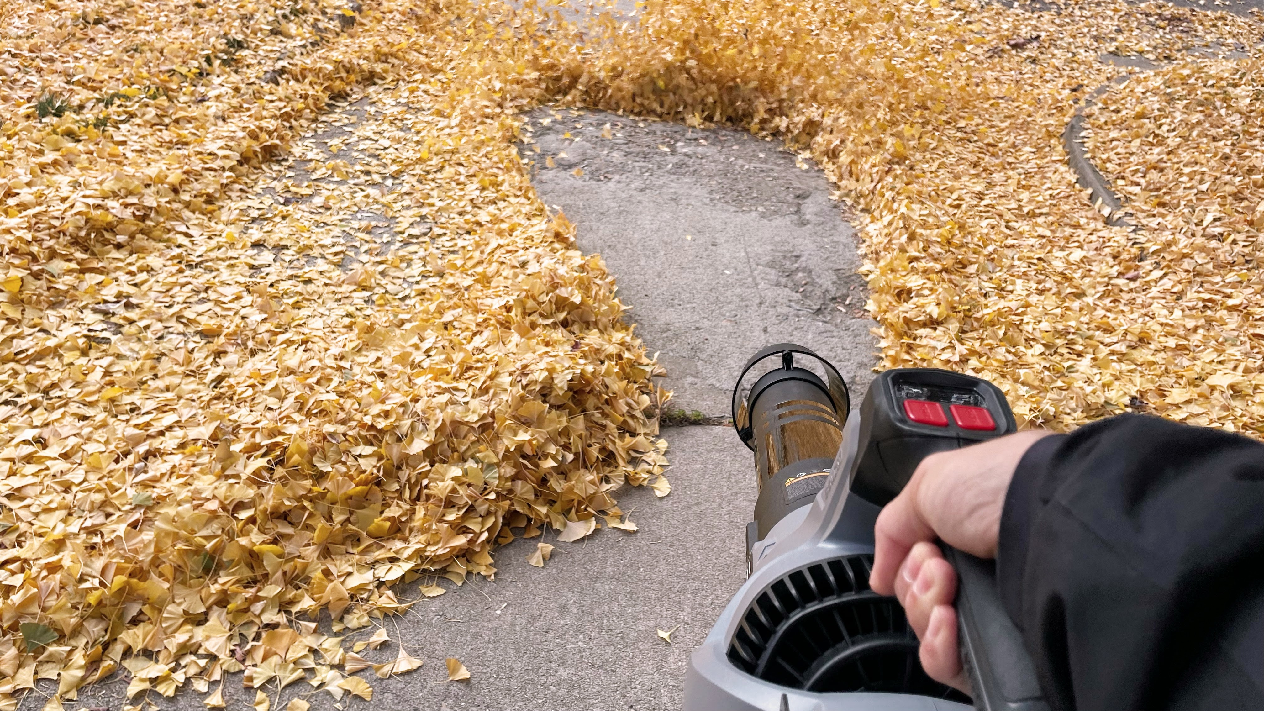 Enhulk 58V 930 CFM Leaf Blower being used in writer's yard